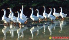 ��ʼ����ҵ��չ����������